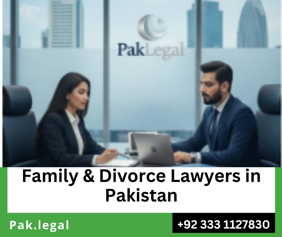 Family lawyer representing parents in a child custody dispute.